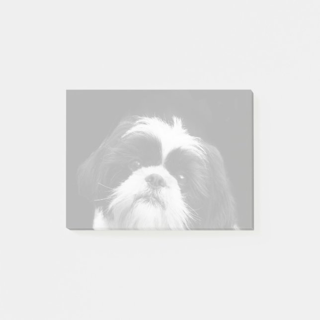 Shih Tzu som hunden postar det, noterar Post-it Block (Framsida)