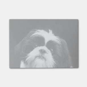 Shih Tzu som hunden postar det, noterar Post-it Block