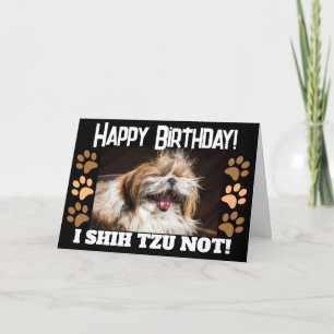 Shih tzu som inte skrattar kul Födelsedagsgratulat Kort