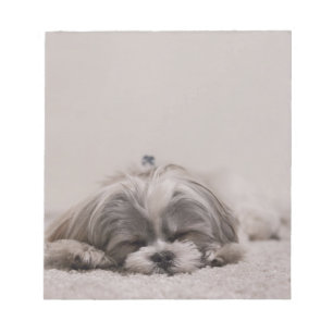 Shih tzu som sovar anteckningsblocket som sovar anteckningsblock