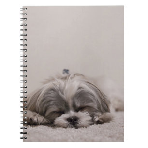 Shih tzu som sovar hunden anteckningsbok med spiral
