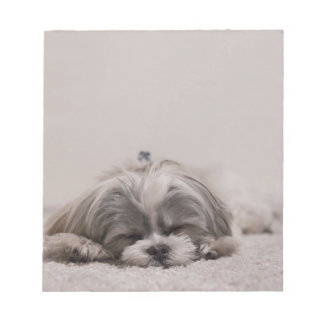 Shih tzu Spipande Anteckningsblock, Spipande Hund Anteckningsblock