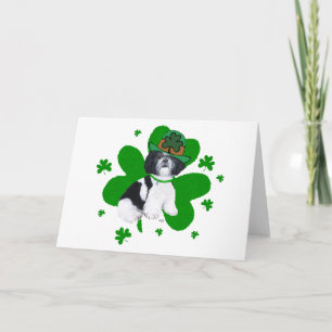 Shih Tzu St Patricks Day Kort