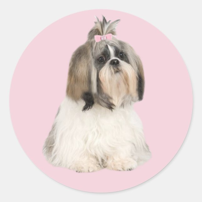 Shih Tzu Sticker Runt Klistermärke (Framsida)