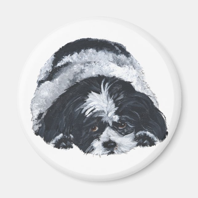 Shih Tzu Svart & Vit Magnet (Framsidan)