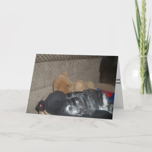Shih Tzu Sympathy Card Kort (Framsida)