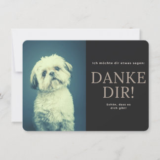 Shih Tzu Tack Kort
