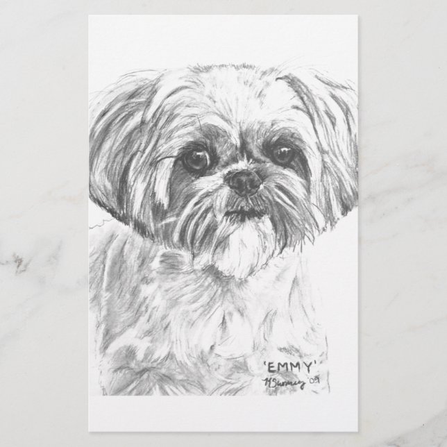 Shih Tzu Teckning (Framsida)