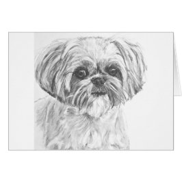 Shih Tzu teckning Hälsningskort