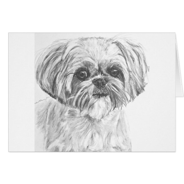 Shih Tzu teckning Hälsningskort (Framsidan Horizontal)
