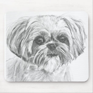 Shih Tzu teckning Musmatta