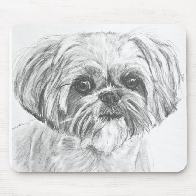 Shih Tzu teckning Musmatta (Framsidan)