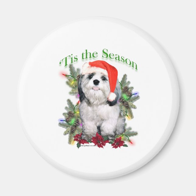Shih Tzu "Tis Magnet (Framsidan)