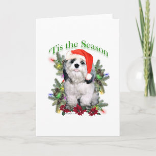 Shih Tzu 'Tis the Season Helgkort