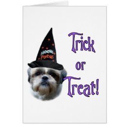 Shih Tzu Trick Hälsningskort