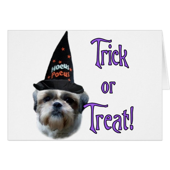 Shih Tzu Trick Hälsningskort (Framsidan Horizontal)