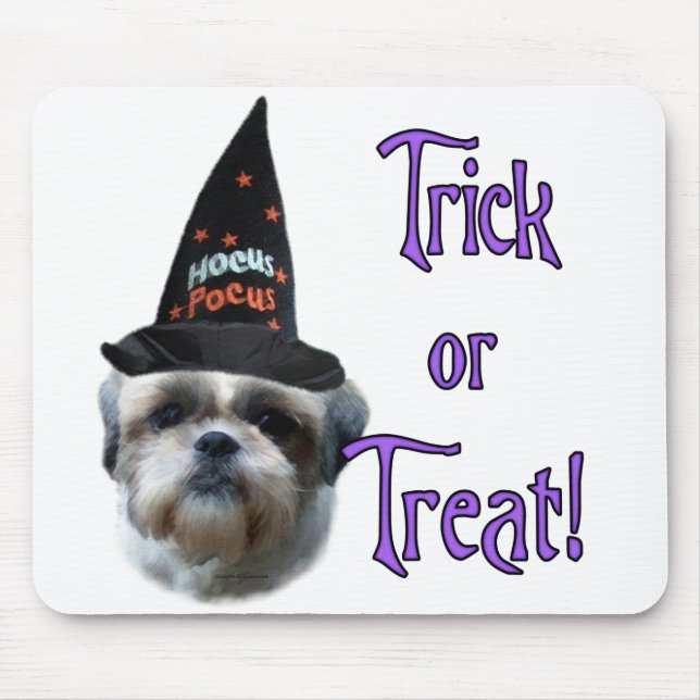 Shih Tzu Trick Musmatta (Framsidan)
