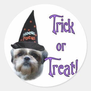 Shih Tzu Trick Runt Klistermärke