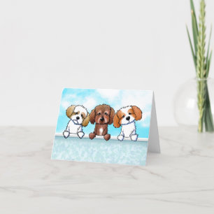 Shih Tzu Trio Tack Kort