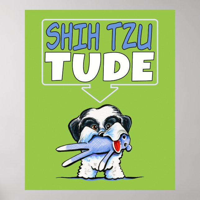 Shih Tzu Tude Dk Poster (Framsidan)