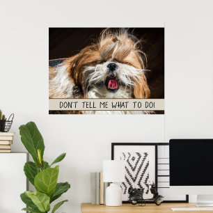 Shih tzu tunga lustig Säg inte vad jag ska göra Poster