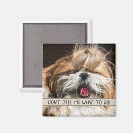 Shih tzu tunga rolig Säg inte åt mig vad jag ska g Magnet