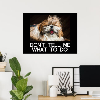 Shih tzu tunga rolig Säg inte åt mig vad jag ska g Poster