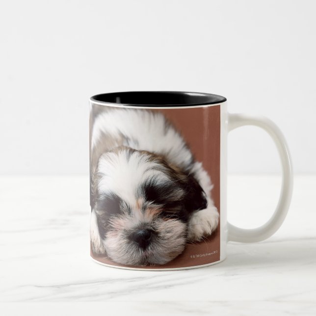 Shih Tzu Två-Tonad Mugg (Höger)