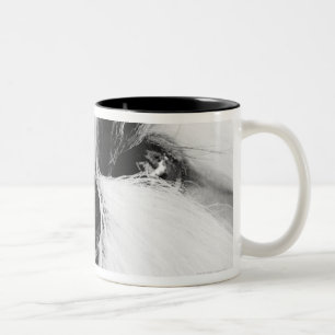 Shih Tzu Två-Tonad Mugg