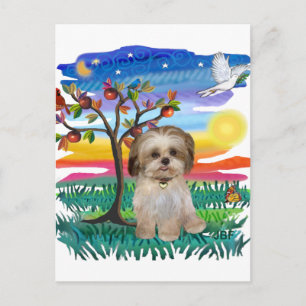 Shih Tzu Valp #2 Vykort