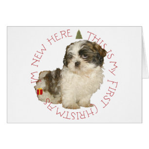 Shih Tzu-valp Första julen Hälsningskort