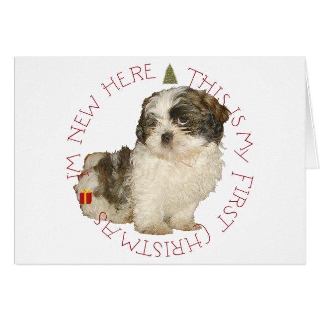 Shih Tzu-valp Första julen Hälsningskort (Framsidan Horizontal)