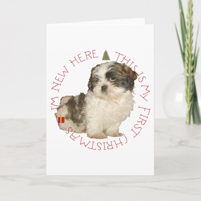 Shih Tzu-valp första julen Helgkort (Framsida)