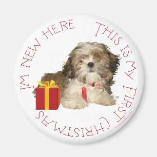 Shih Tzu-valp första julen Magnet