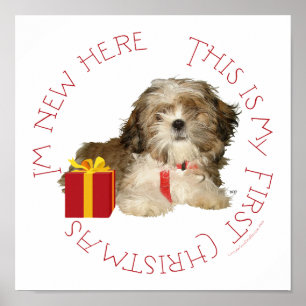 Shih Tzu-valp första julen Poster