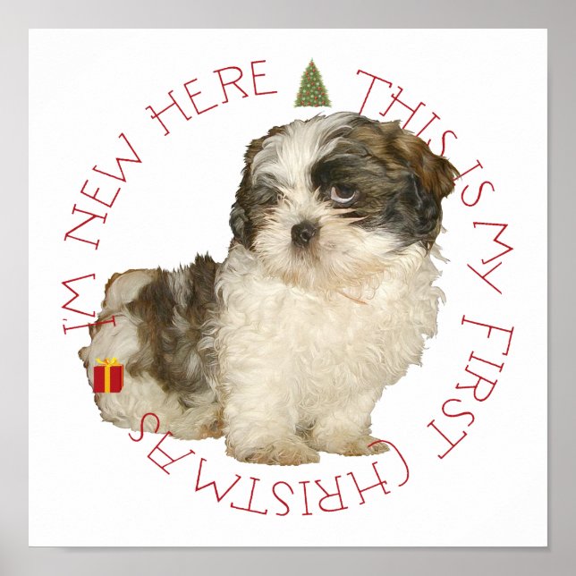 Shih Tzu-valp första julen Poster (Framsidan)