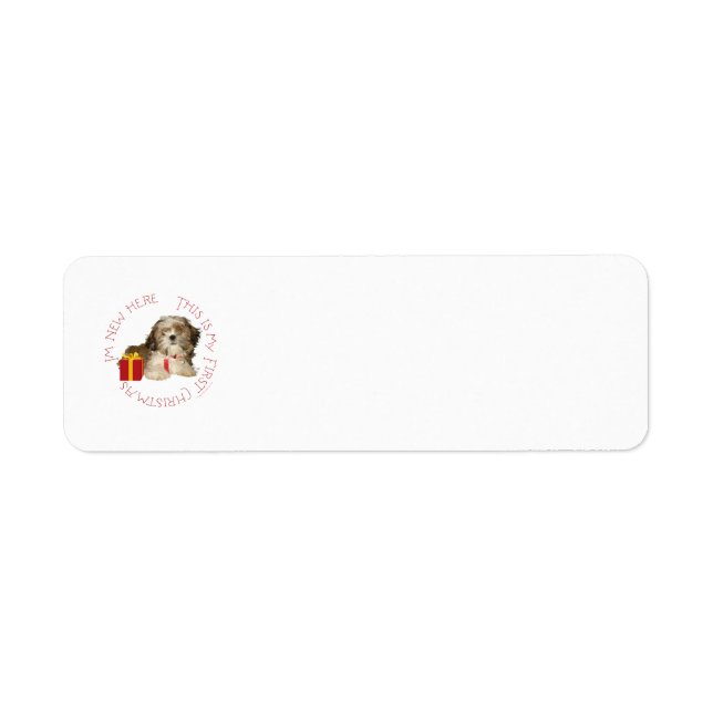 Shih Tzu-valp första julen Returadress Etikett (Framsidan)