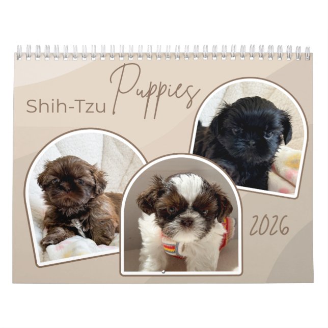 Shih-Tzu Valp Foto Collage Kalender (Omslag)