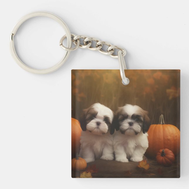 Shih Tzu-valp Höstglädje Pumpa  (Framsidan)