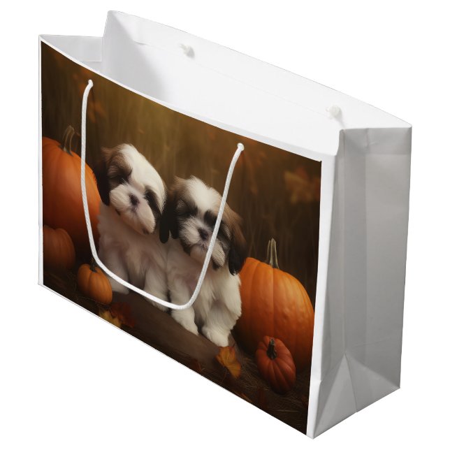 Shih Tzu Valp Höstglädje Pumpa (Framsidan Vinklad)