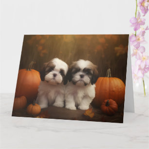 Shih Tzu Valp Höstglädje Pumpa Kort