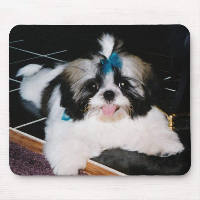 Shih-Tzu valp Mousepad Musmatta (Framsidan)
