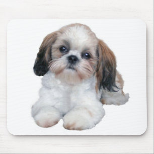 Shih Tzu valp Mousepad Musmatta