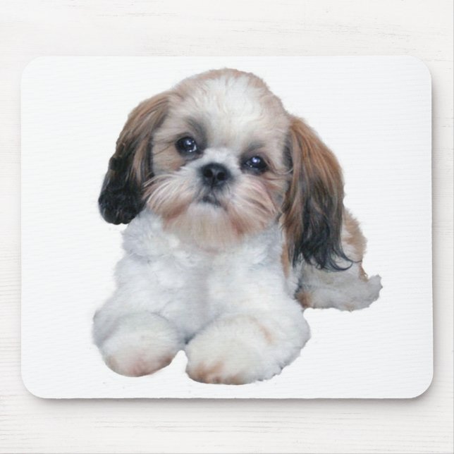 Shih Tzu valp Mousepad Musmatta (Framsidan)