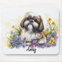 Shih Tzu Valp