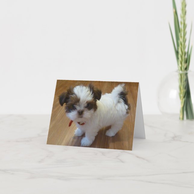 Shih Tzu valp Notecards Kort (Framsida)