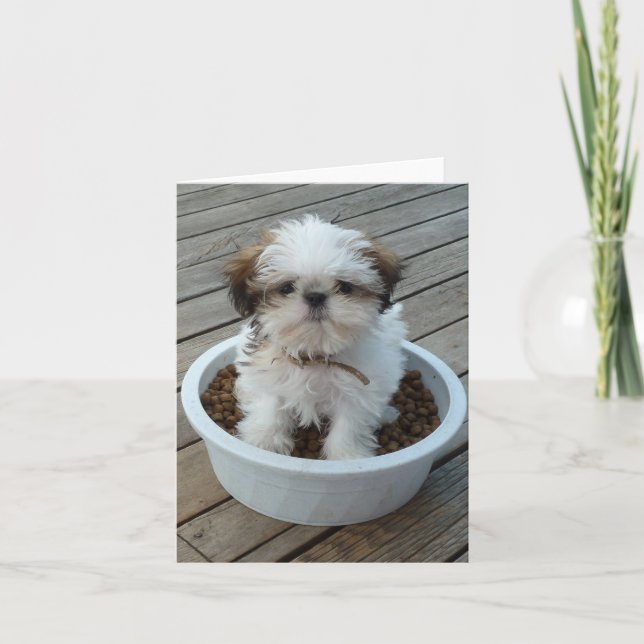 Shih Tzu valp Notecards Kort (Framsida)