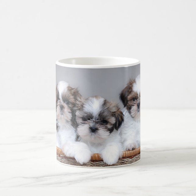 Shih Tzu-valpar Kaffemugg (Center)