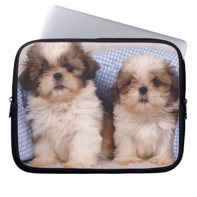 Shih Tzu-valpar under en kontrollerad filt Laptop Sleeve (Framsidan)