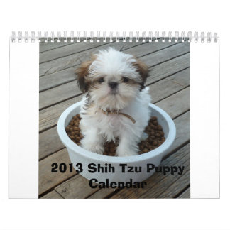 Shih Tzu valpkalender 2013 Kalender